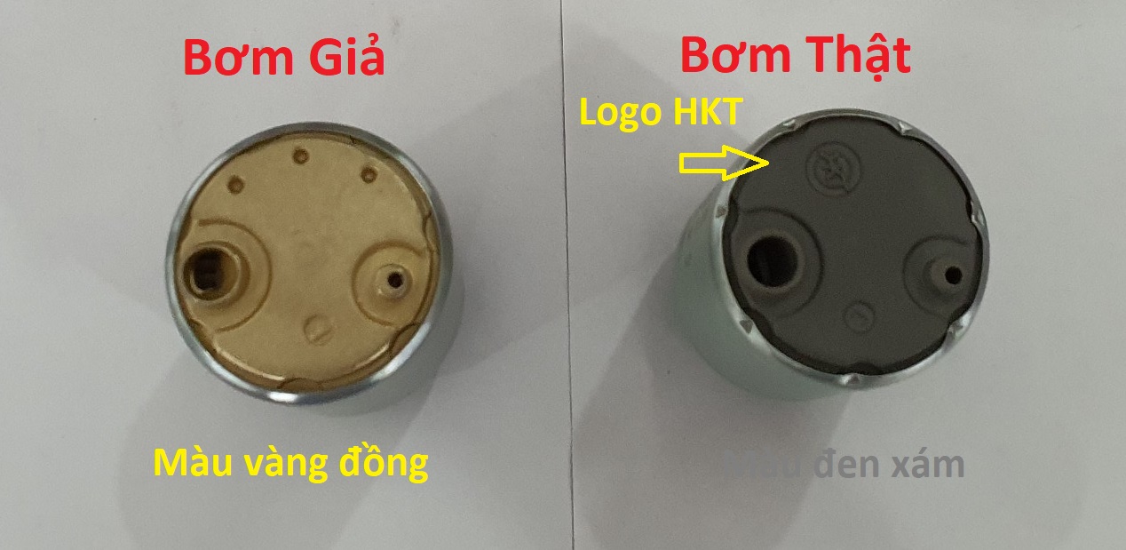 Đáy bơm xăng HKT
